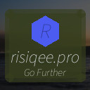 risiqee.pro
